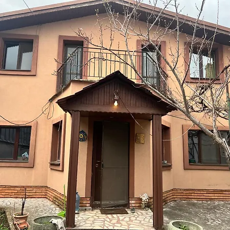 Casuta De Vis * Bucharest