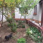 Casa de Férias Casuta De Vis