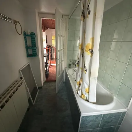 Будинок відпочинку Casuta De Vis *