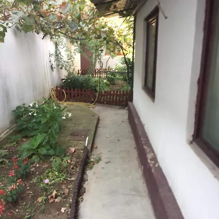 Casuta De Vis Tatil Evi Bükreş