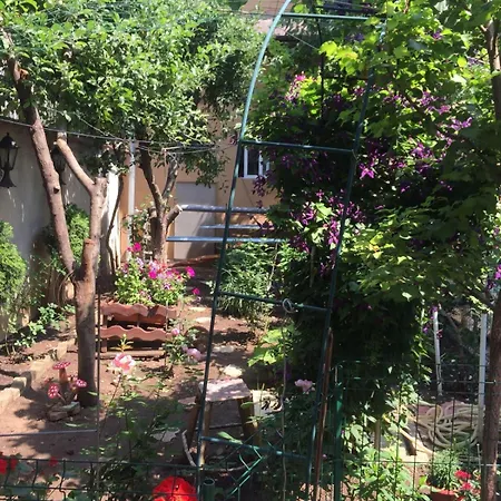 Casuta De Vis * Bükreş