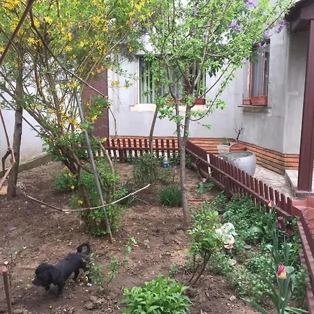 Tatil Evi Casuta De Vis