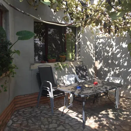 Casuta De Vis Tatil Evi