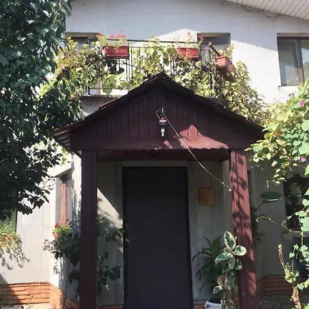 Casuta De Vis Tatil Evi *