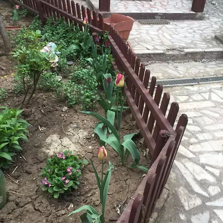 Holiday home Casuta De Vis Bucharest