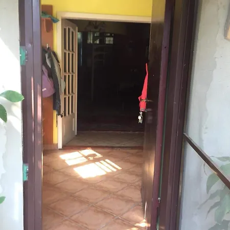 Casuta De Vis Tatil Evi *