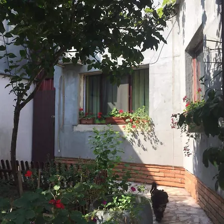 Casuta De Vis Tatil Evi Bükreş