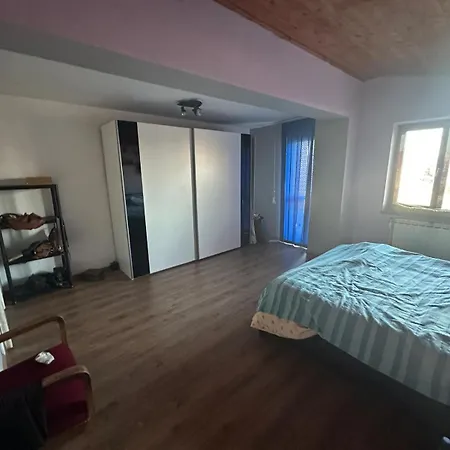 Casuta De Vis * Bükreş