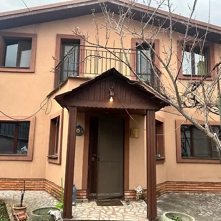 Casuta De Vis * Bükreş