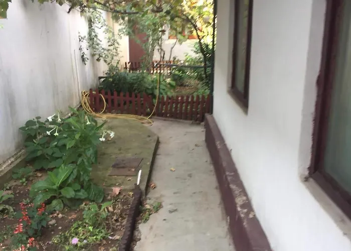 Casuta De Vis Case de vacanță Bucureşti