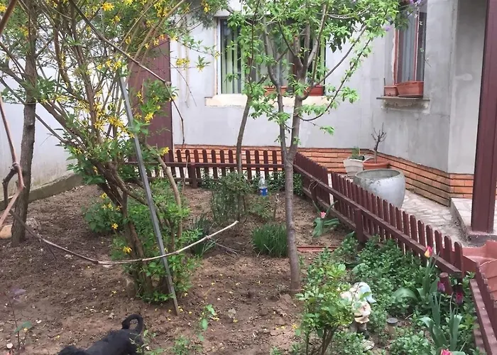 Case de vacanță Casuta De Vis