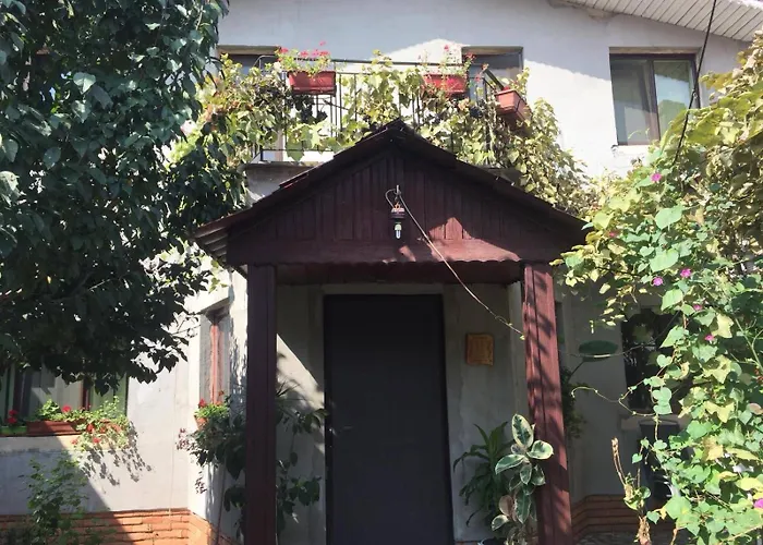 Casuta De Vis Case de vacanță *