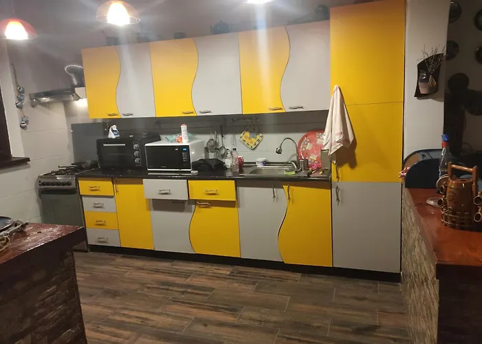 Будинок відпочинку Casuta De Vis *