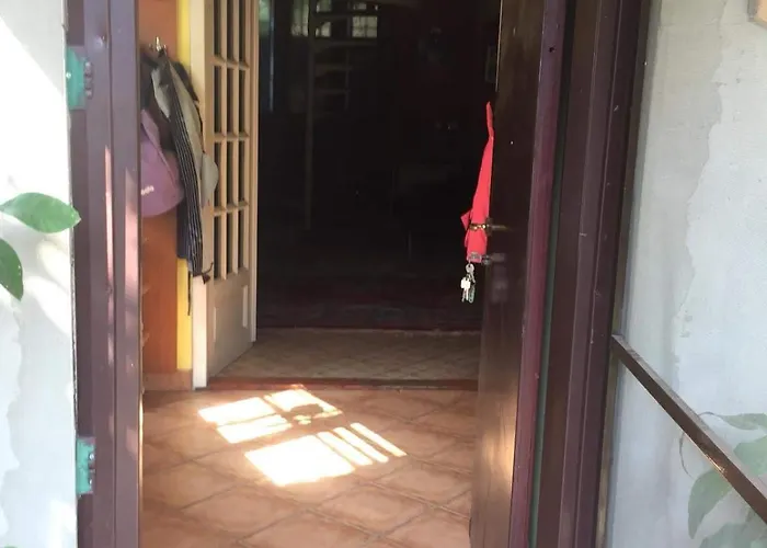 Casuta De Vis Case de vacanță *