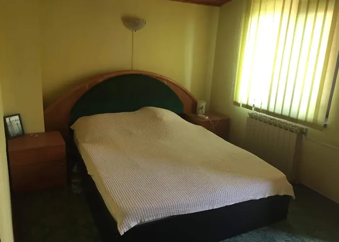 Casuta De Vis Бухарест