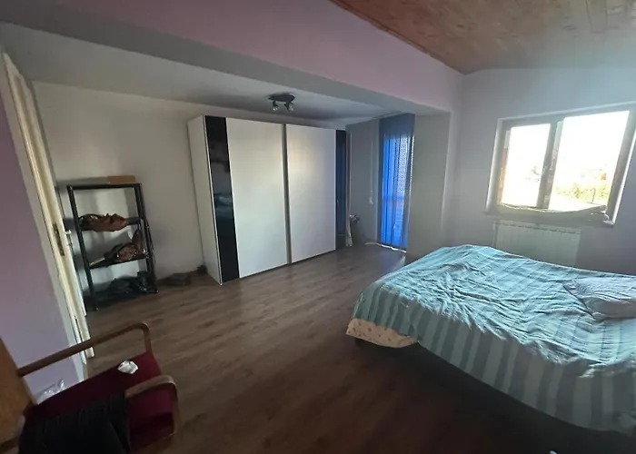 Casuta De Vis * Бухарест