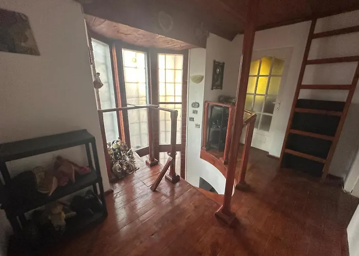 Casuta De Vis Case de vacanță *