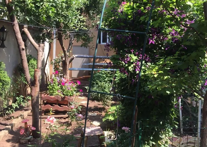 Casuta De Vis * Bucharest