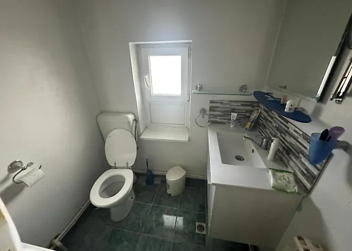 Holiday home Casuta De Vis