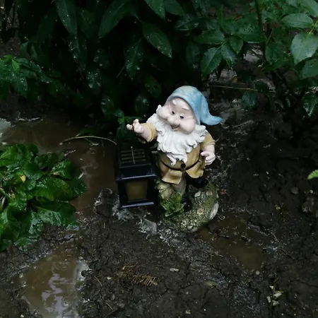 Сasa de vacaciones Casuta De Vis Bucarest