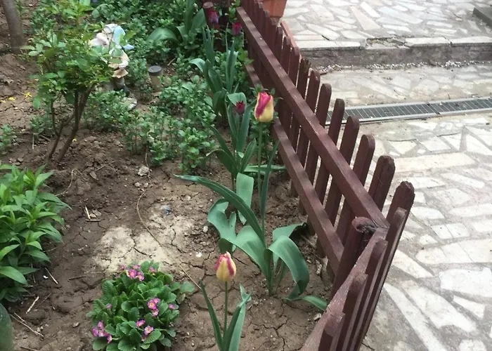 Holiday home Casuta De Vis Bucharest